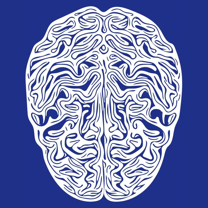 Brain - Anatomical Vector