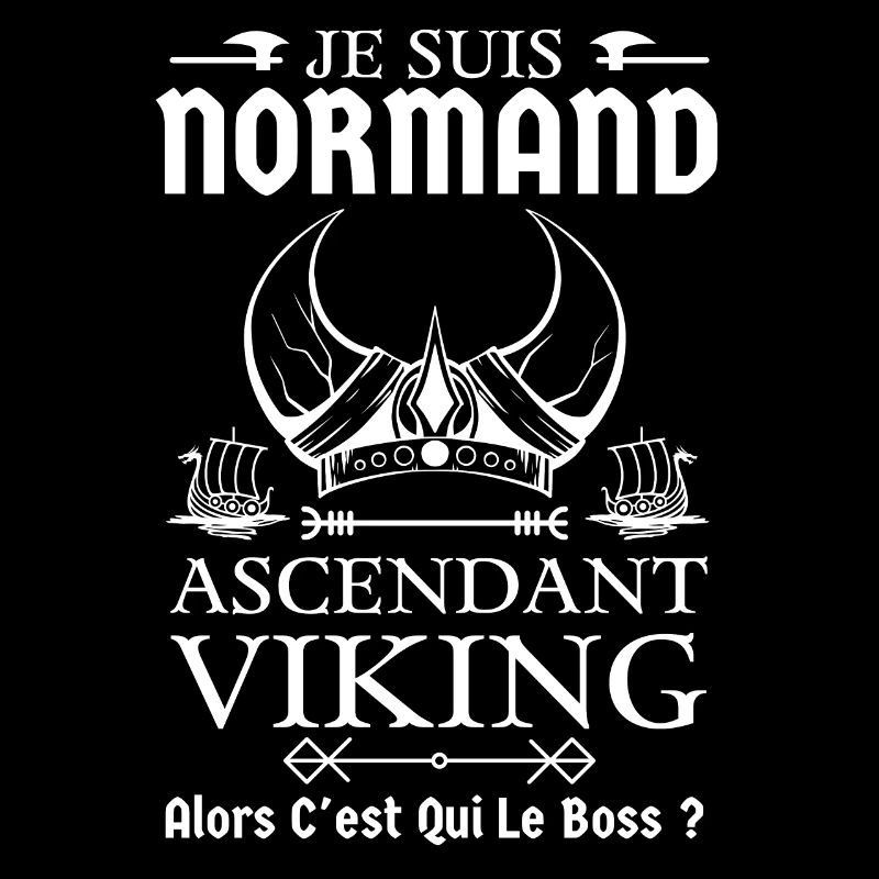 Normand ascendant viking 2