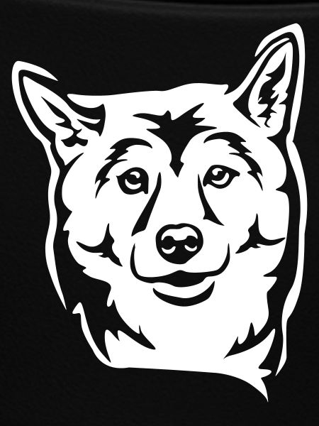 Shiba Kopf "Black Edition"