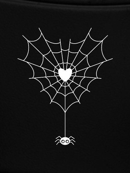 Spinne im Spinnennetz