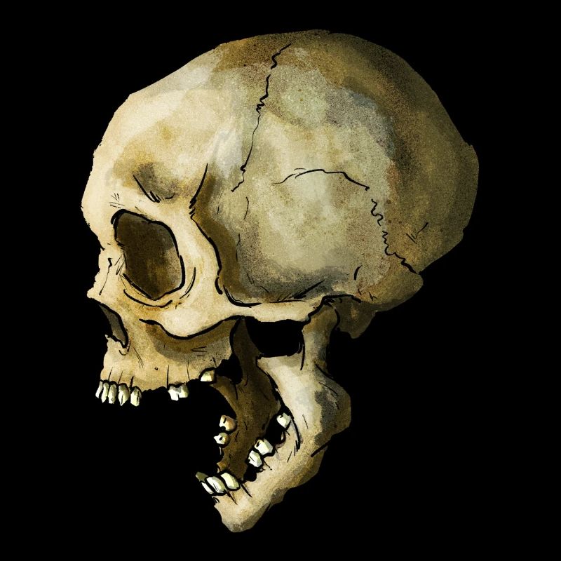 Skull