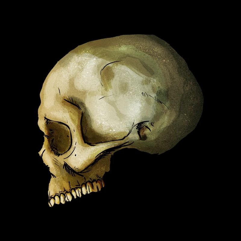 Skull 2