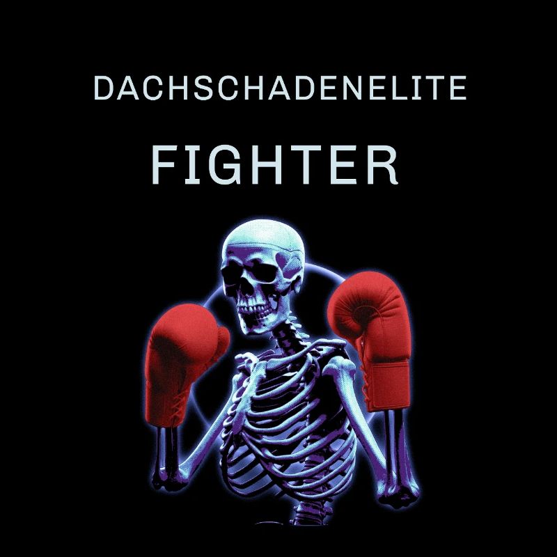 Dachschadenelite Fighter