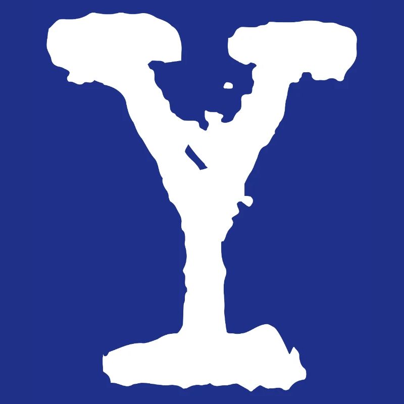 Y