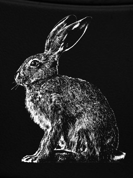 Hare / Hare / Hare / Bunny