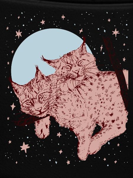 US IN ANOTHER UNIVERSE