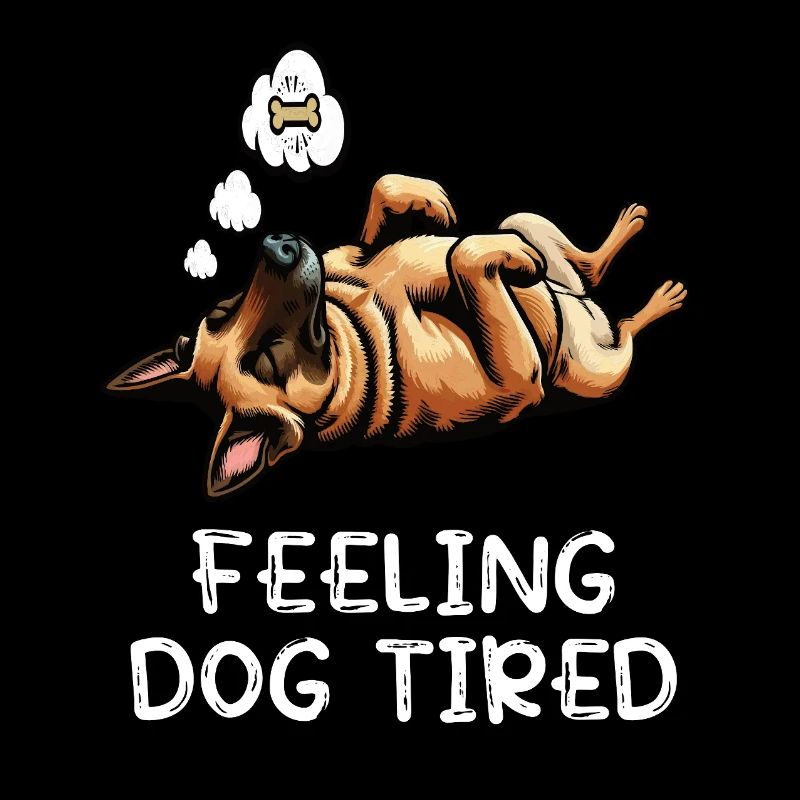 Feeling Dog Tired Malinois Belgian Shepherd