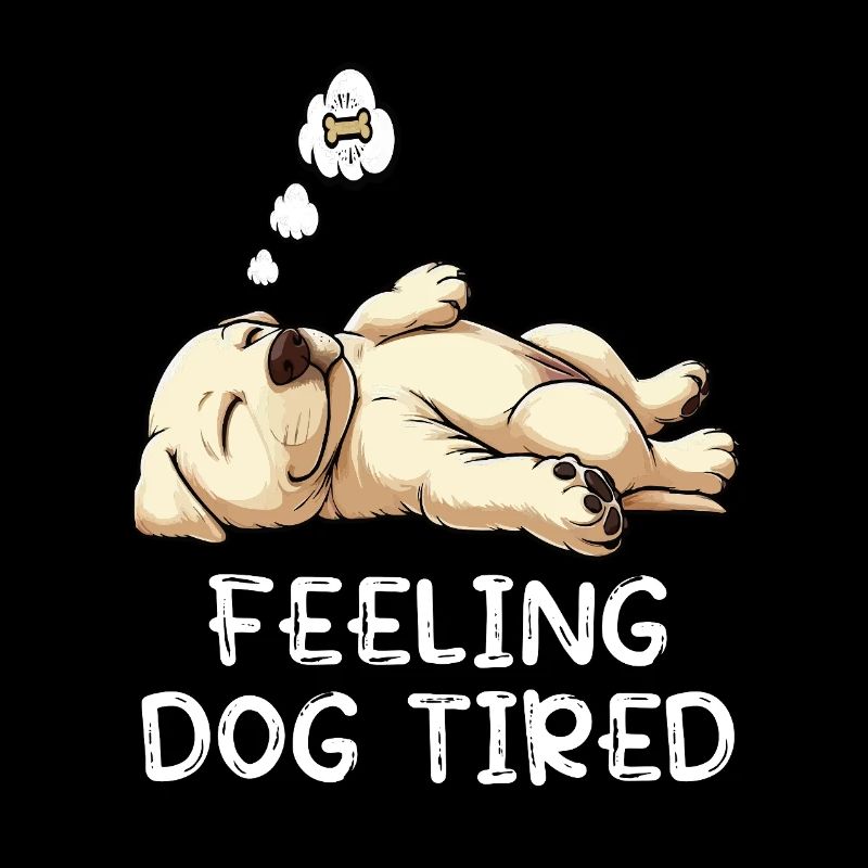 Feeling Dog Tired Labrador Labrador Owner Labbi