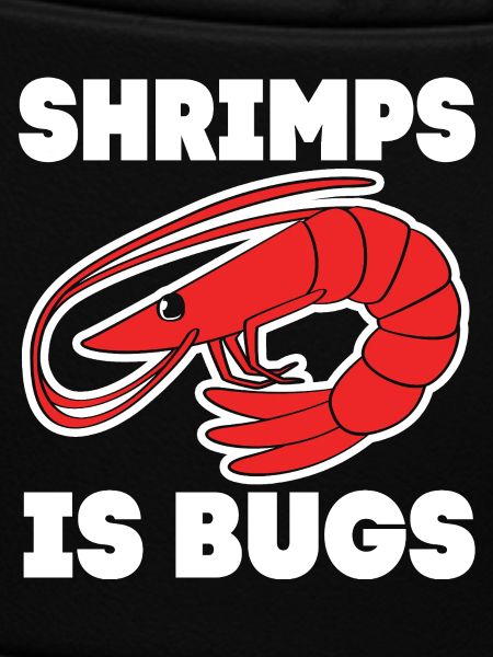 Shrimp