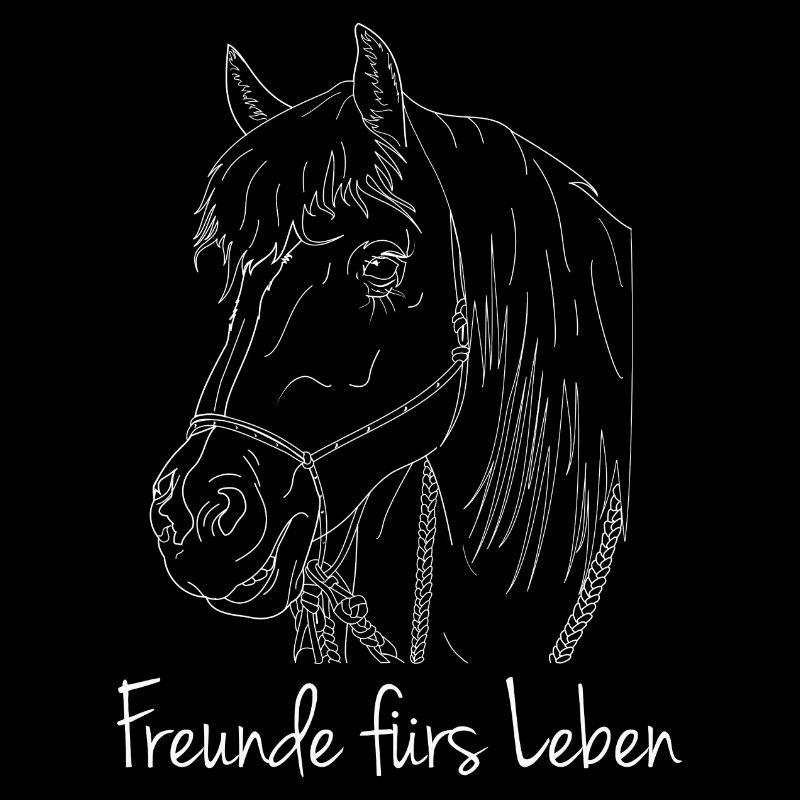 Freunde fürs Leben Haflinger Pferd