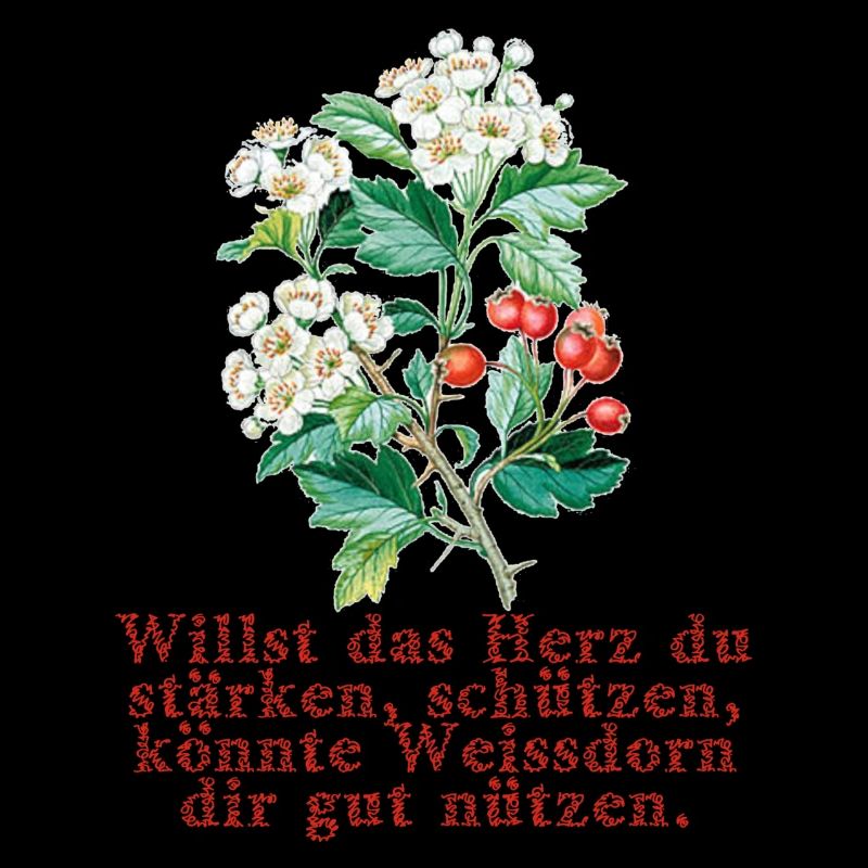 whitethorn