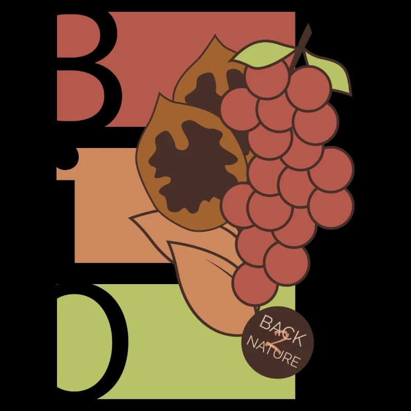 Bio fruit kleuren Symbool eten eten