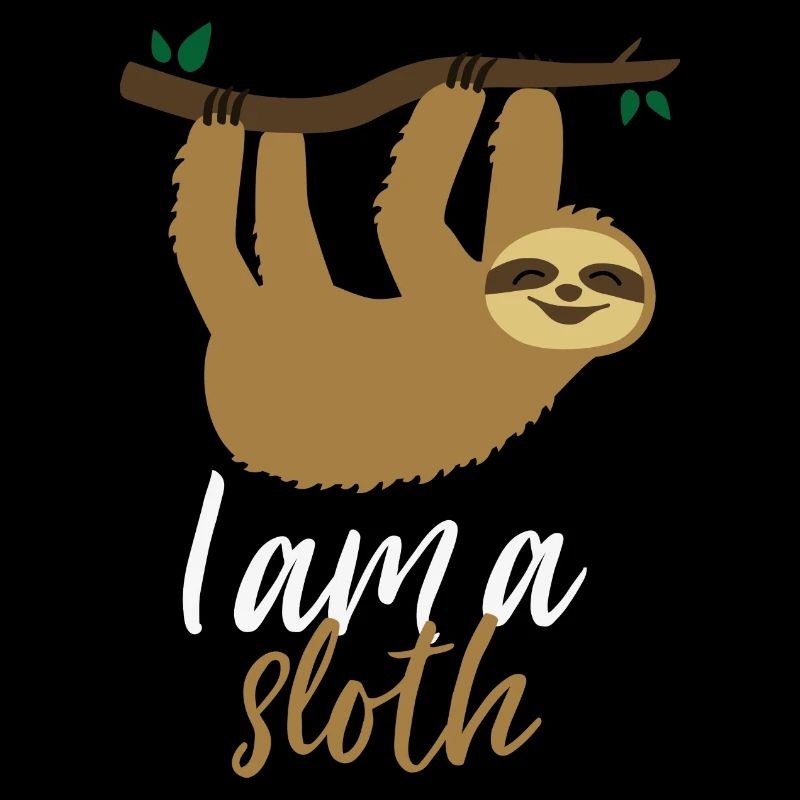 Partner Shirt Sloth Him