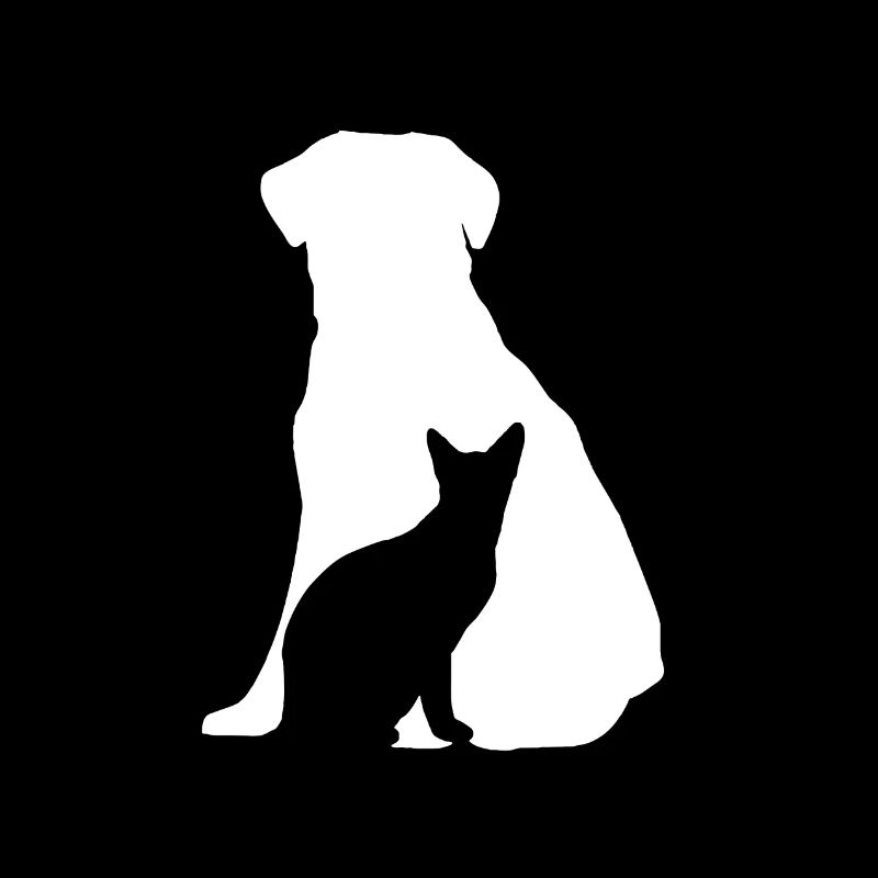 Hund und Katze