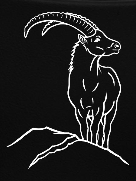 Steinbock