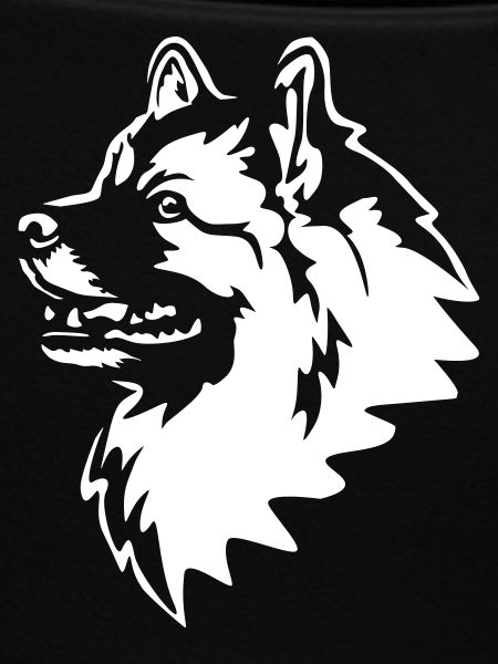 Wolfsspitz Head "Black Edition"