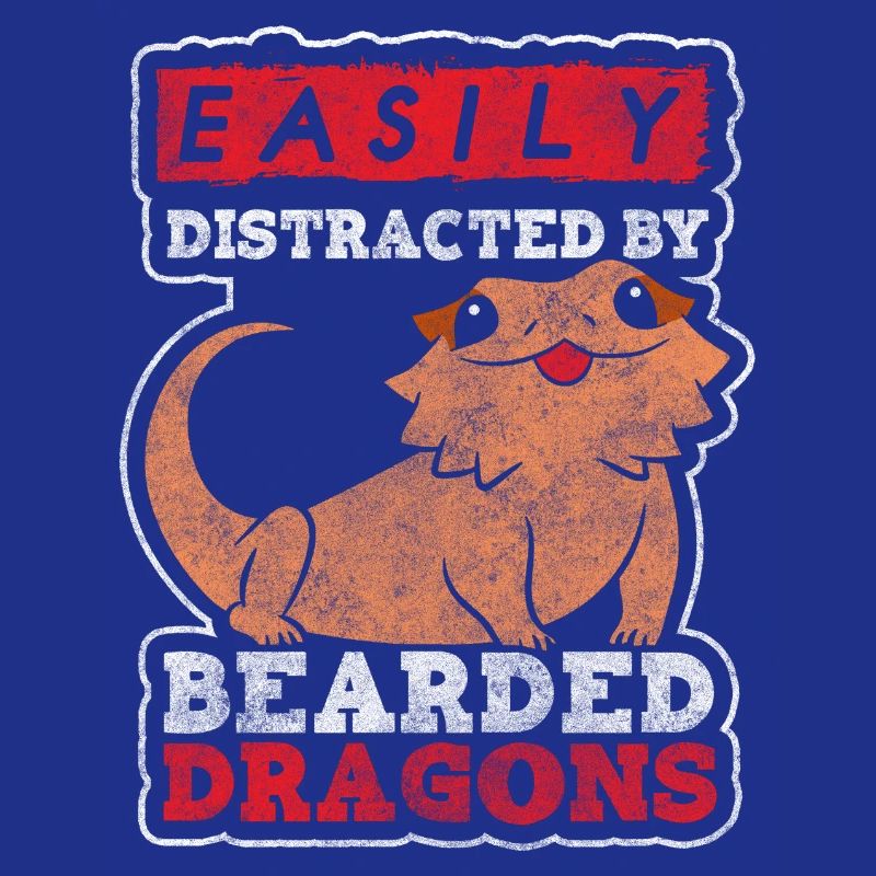 Echse Echsen Eidechse