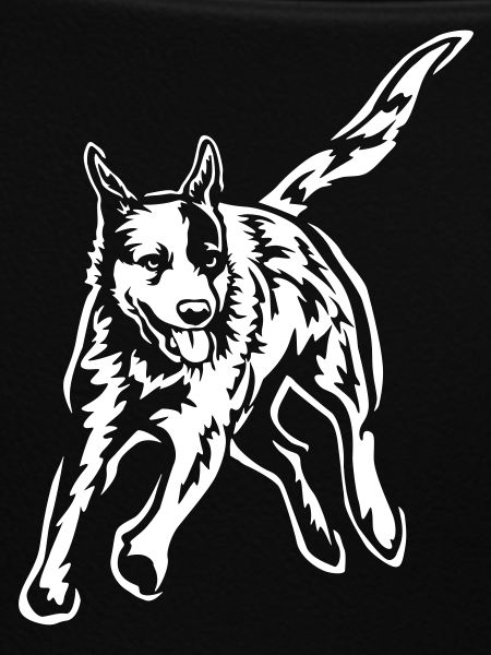 Australian Cattle Dog "Black Edition"