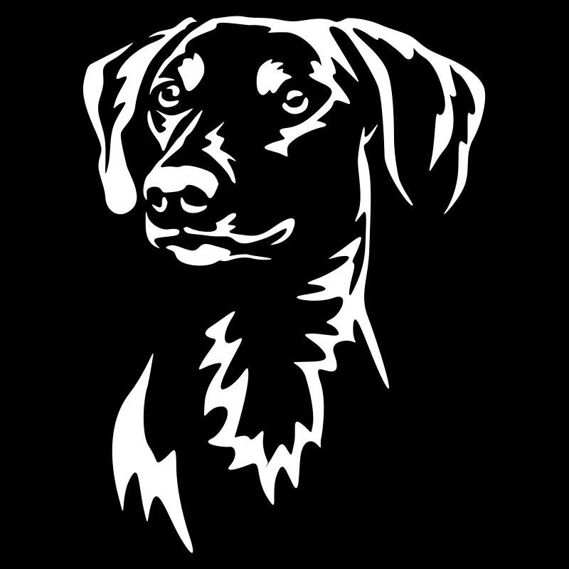 German Pinscher Head "Black Edition"