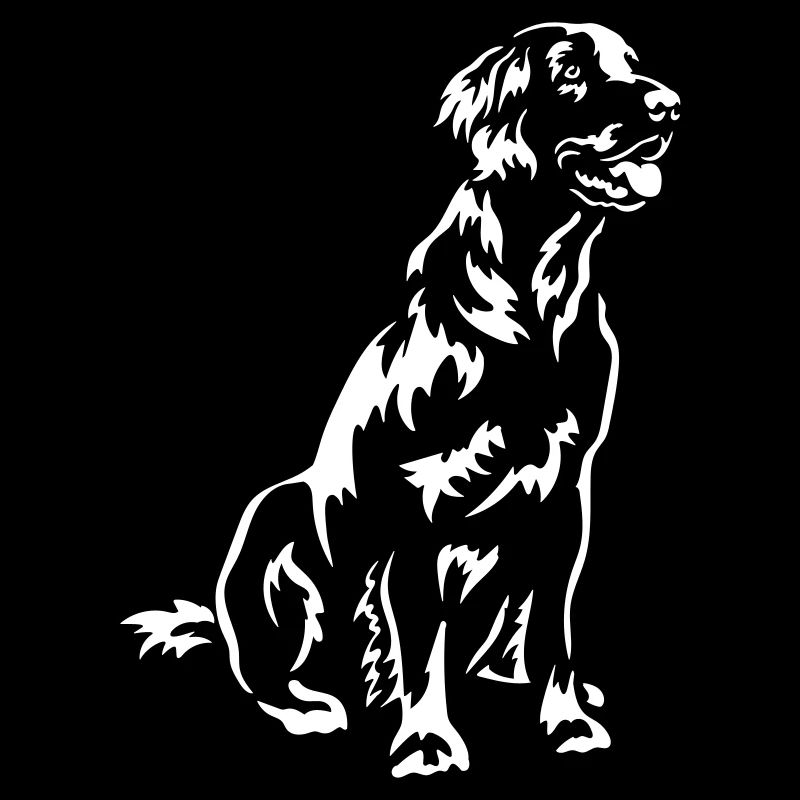 Flat-coated Retriever "Black Edition"