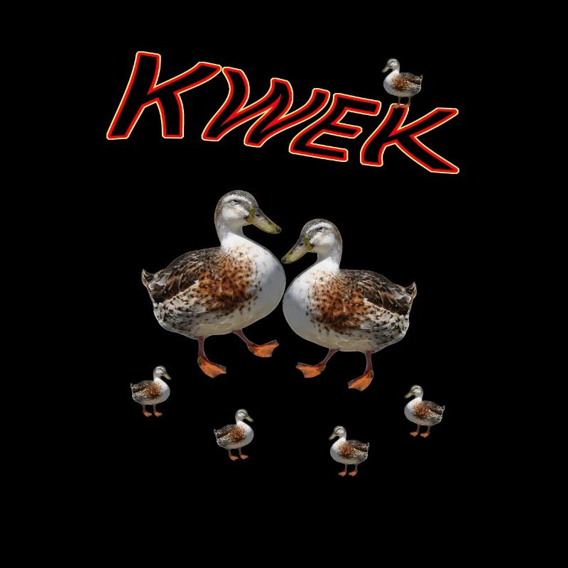 Canard Canard