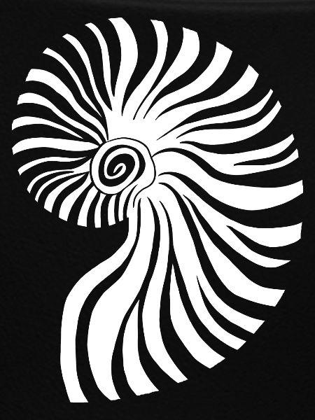 Contrasting spiral nautical pattern