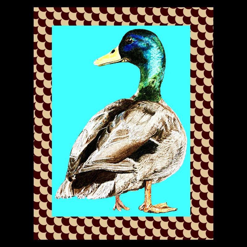 Ente fishtale