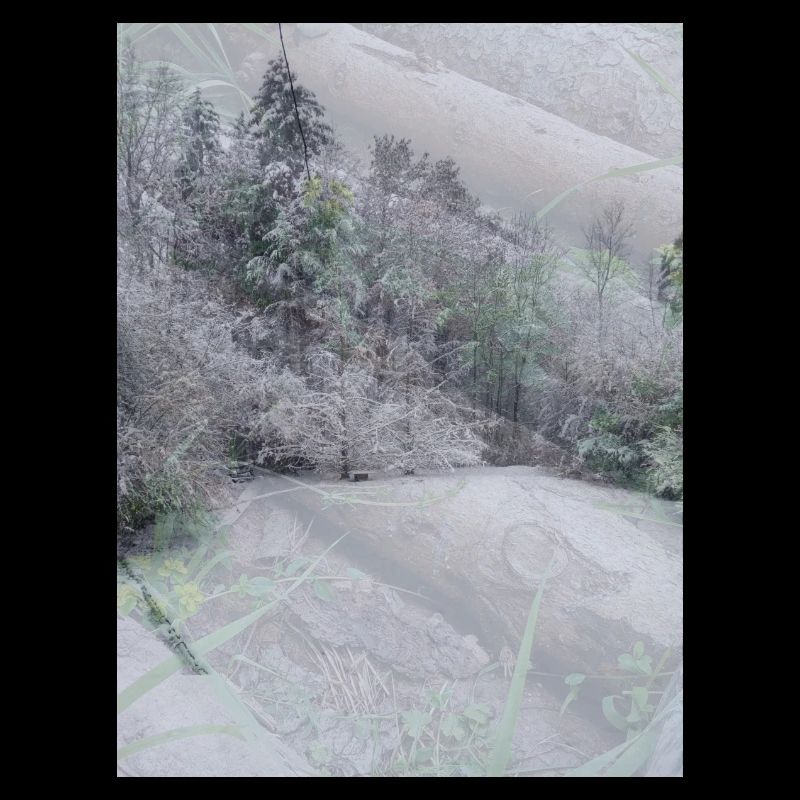 Snow Landscape with Treetrunks