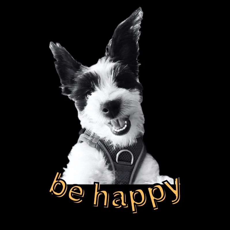 Cookie"be Happy"