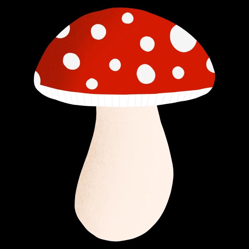 Fliegenpilz