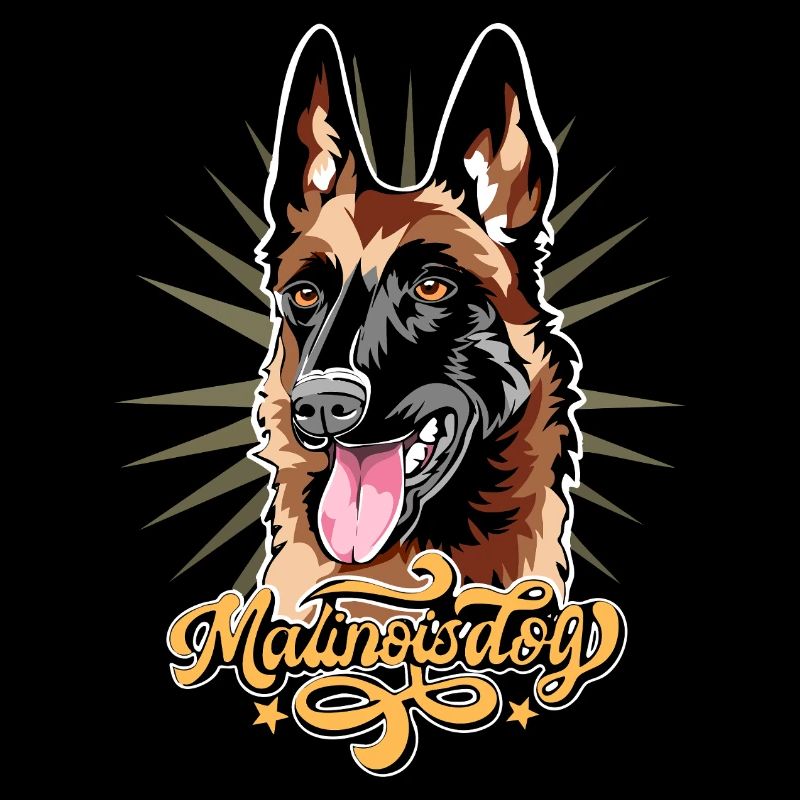 Malinois Hund