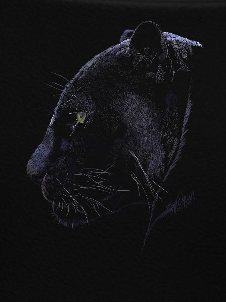 Panther