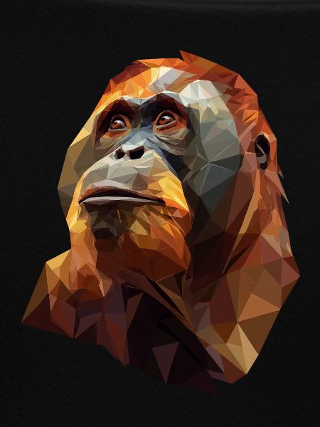 Geometric Orangutan Head