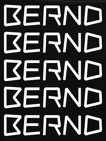 Bachelor Bernd