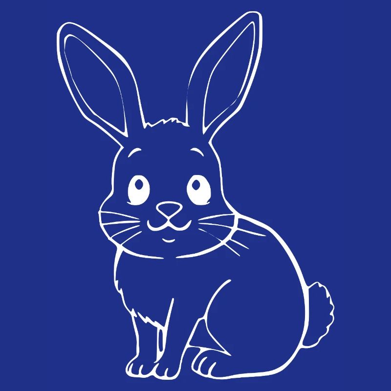 Rabbit Bunny Bunny Dwarf Rabbit Gift