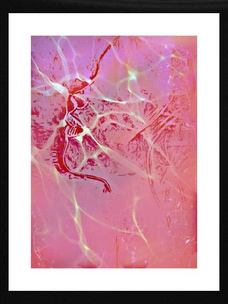 Abstract Pink Reflections