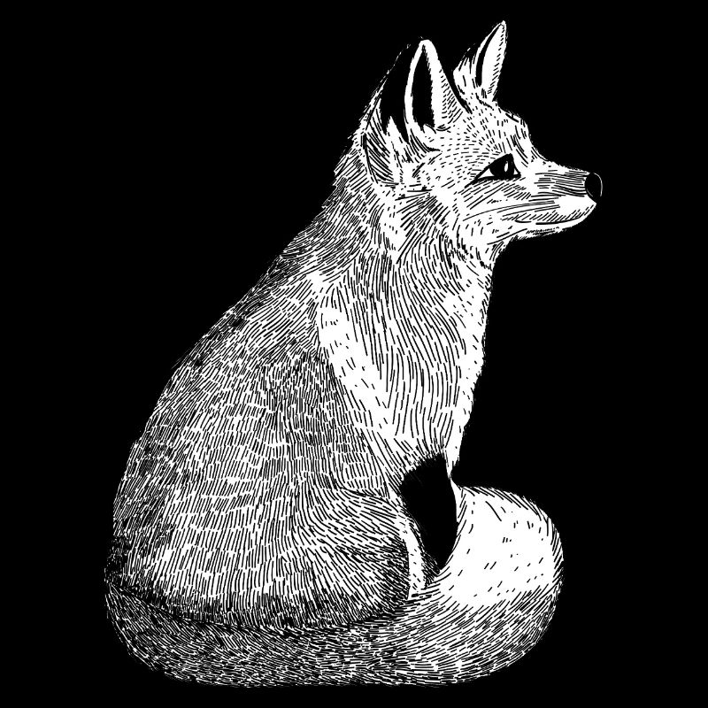 Hand Drawn Vintage Fox