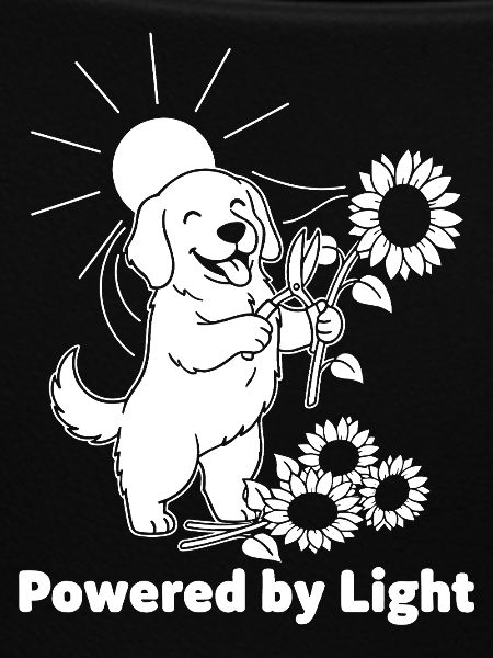 Dog with sunflower light