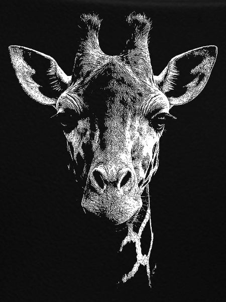 Girafe