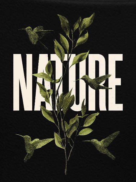 Nature leaves