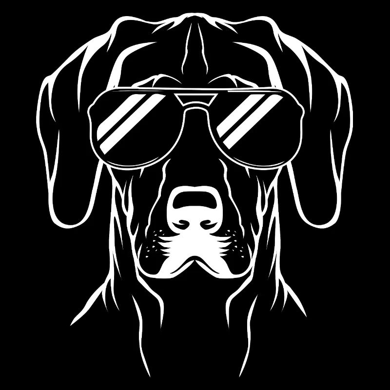 Deutsch Kurzhaar Hund German Pointer