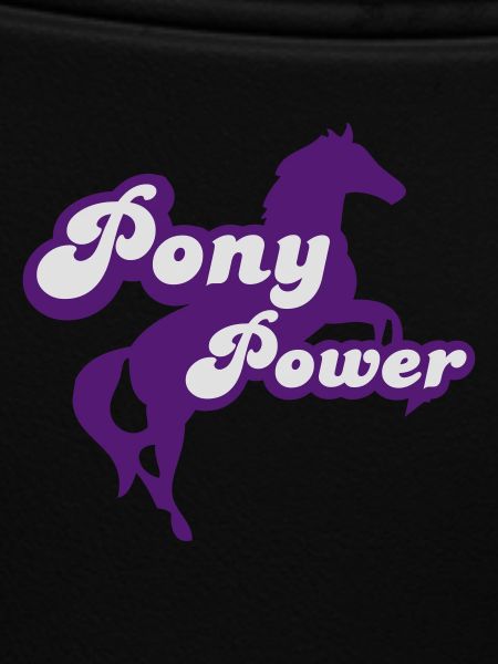 Pony