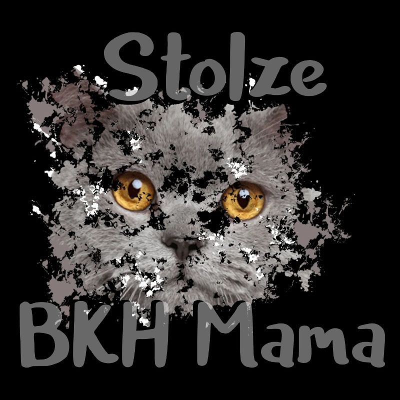Stolze BKH Mama
