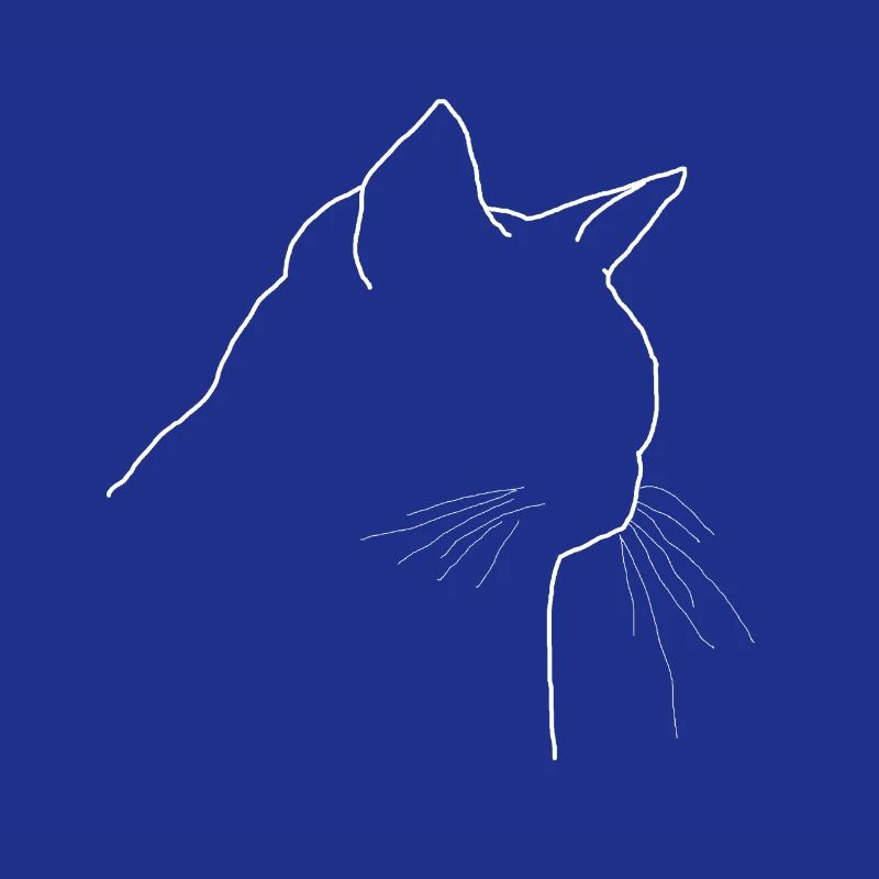 Chat
