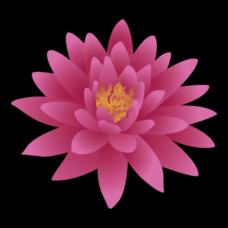 Lotus fleur fleur de fleur d’eau motif
