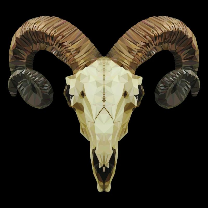 Ram's skull