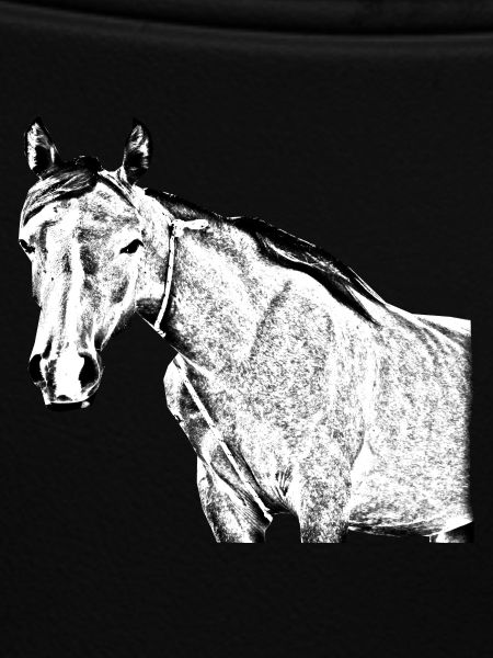 horse