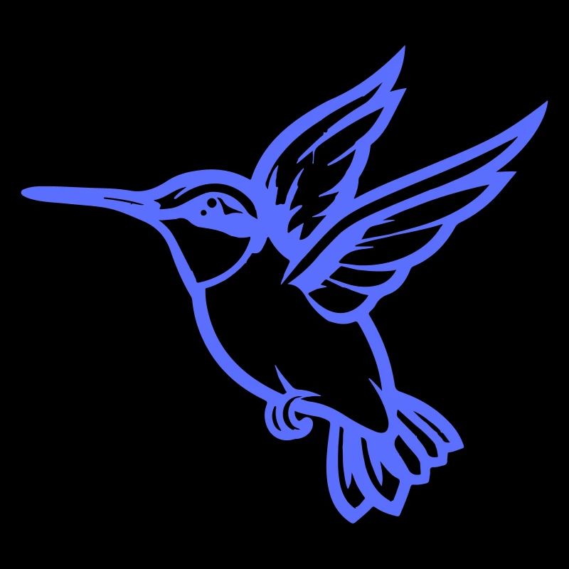 kolibri vogel