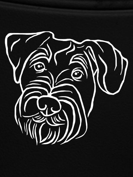 Middle Schnauzer