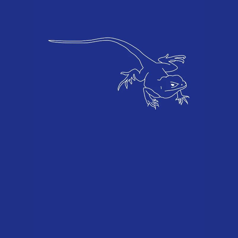 lizard